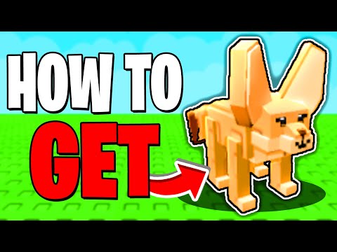 How To GET FENNEC FOX In Grow A Garden! (FENNEC FOX SHOWCASE) Roblox