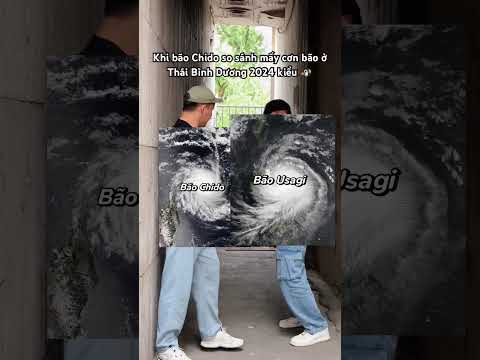 Khi bão Chido so sánh mấy cơn bão ở Thái Bình Dương 2024 kiểu 🐧