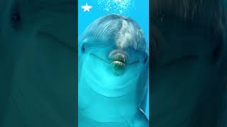 Honza Delfín: Zlomový rok 2026 bude dramatický, držme se ale svého cíle