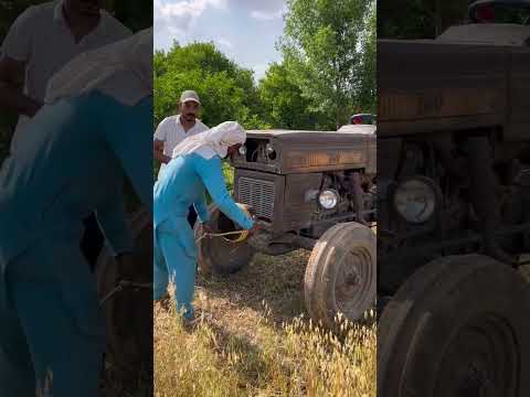 Trator Fiat diesel partida manual #motor #automobile #ganhedinheiro #farming #partida #start #old