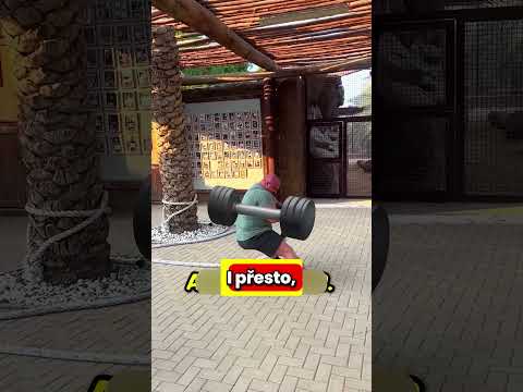 MUŽ vs TYGR!🐯😱