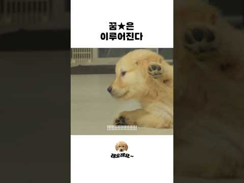 중요한건 꺾이지 않는 마음