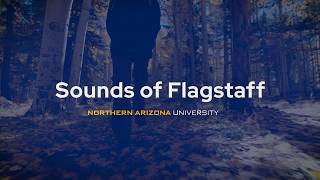 ASMR Sounds Of Flagstaff