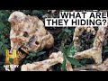 Mysterious Creatures and Hoaxes