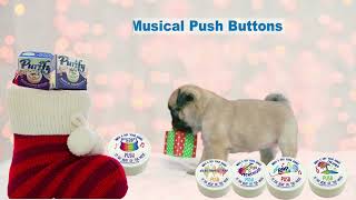 NEW Video for Musical Push Buttons