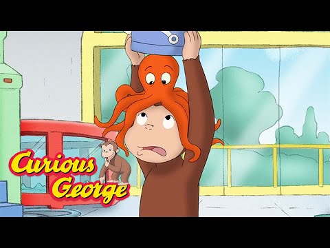 George Learns About Sea Animals 🐵 Curious George 🐵 Kids Cartoon 🐵 Kids Movies