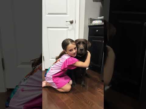 ๐ซถ๐ป Minnie!! #shorts #trending #dog #viral #fypใท #love