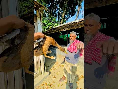 āĻāĻŽāĻžāĻĻā§āϰ āĻšāĻžāĻāϏ āĻā§āϞ⧠āĻ
āύā§āϧ āĻšā§ā§ āϝāĻžāĻā§āĻā§ #villagerlifestyle #minivlog #villagevlog #vlog #shortvideo