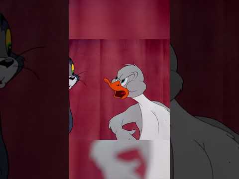 Ho fatto confusione con l'anatra sbagliata | Guarda di piรน su #boomerang #tomejerry #shorts