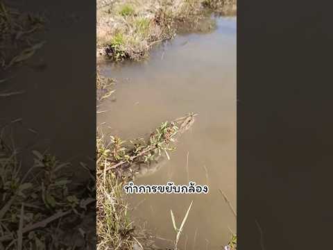 Ep.348 ตัวประหลาดใต้น้ำ !!