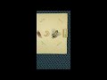 Bee Life Cycle and Metamorphosis