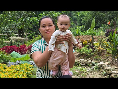 How to Make Soft and Spongy Donuts at Home  - go to market sell , Pig Care | Lý Thị Ca