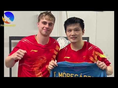 Happy Birthday Fan Zhendong 2025 - The Best "Grand Slam"