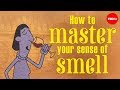 Understanding the Art of Smelling