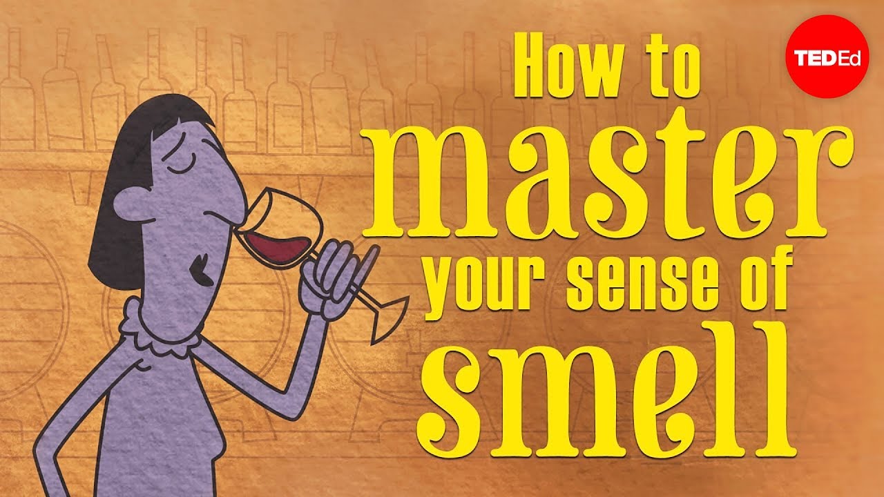 How to master your sense of smell - Alexandra Horowitz