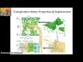 Plant Water Transport and Adaptations