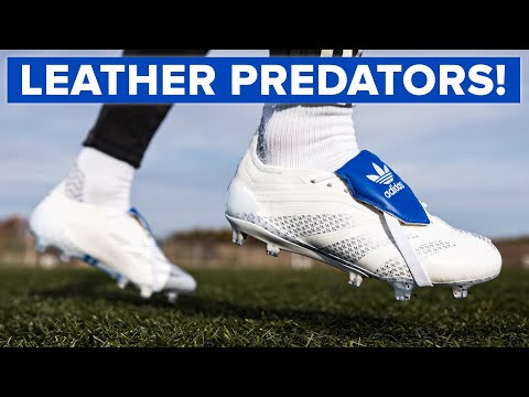 These LEATHER Predators are glorious - BUT should you buy them?