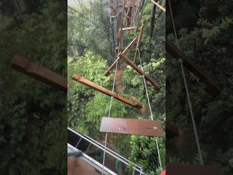 Dad vs The Black Witch on the Broken Bridge! 😱🌉🐒👻  | #shorts #video #viralvideo