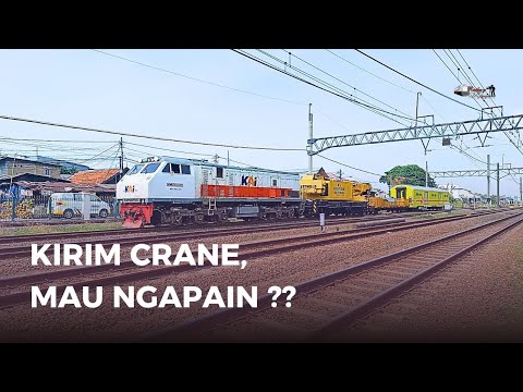 ADA APA YA ❓️ Kirim KLB Crane Rute Cirebon ~ Jatinegara