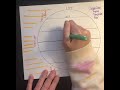 Climate Zones and Their Characteristics