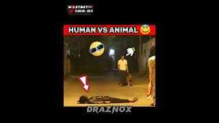POV:-HUMAN VS ANIMALhanuman | #hanumanji#bajrangbali #ghost #prank #viral