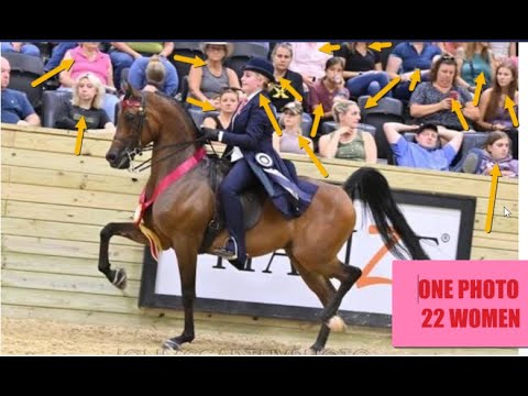 Saddle Sisters & Mane Attraction Dominating The Horse Industry