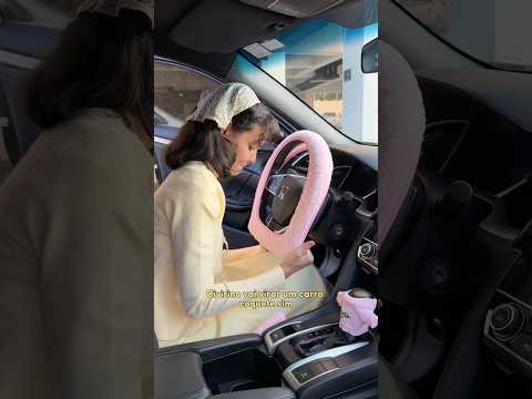 Comprei uma roupinha pro civic