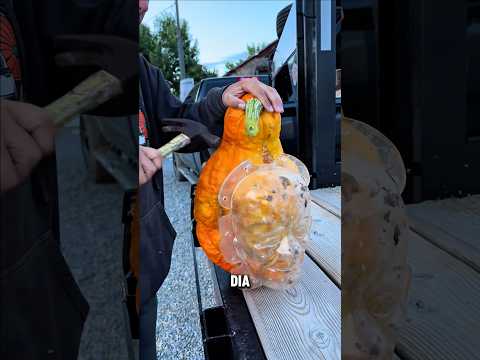 Buah labu unik #shorts