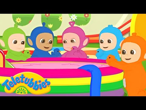 TiddlyTubbies I POOL PARTY! Has Everyone Got Their Duckies Ready? Shows for kids