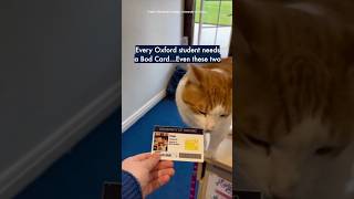 Every Oxford student needs a Bod Card…Even these two 🐈🐈‍⬛ #OxfordUniversity