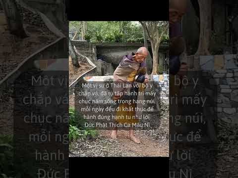Sư Minh Tuệ chắc phải gọi cụ bằng cụ #thichminhtue #shortvideo