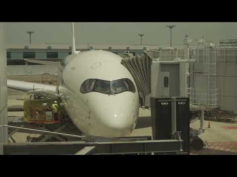 Starlux A350 Singapore to Taipei 星宇航空