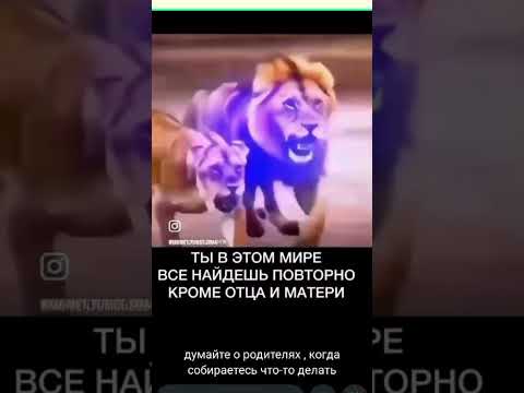 довольство Аллаха, довольство родителей ❤️ #islam #islamicstatus #мама #папа #топ #shorts