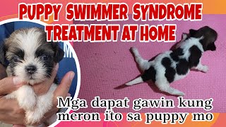 Swimmer Puppy Syndrome Learns To Walk | mga dapat tandaan pag meron ito sa puppy mo