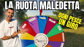ogni PESCE un GIRO DI RUOTA: sfida all'ultima esca