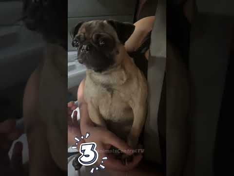 DO NOT CLICK THE SOUND 😭🙏