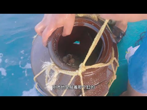 老四出海收陷阱，罕见抓到极品八爪鱼兄弟，回家爆炒太香了