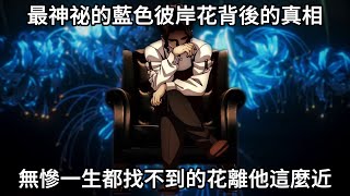 【鬼滅之刃】藍色彼岸花在哪裡？無慘為什麼一直找不到？一生都找不到的花，竟然離他這麼近？最神祕的藍色彼岸花背後的真相 !