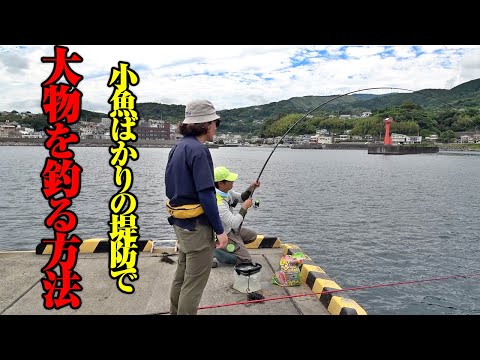 初心者に優しい釣り方シリーズ。群れる小魚を避け、堤防際の大物を狙い撃つ方法。