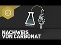 nachweis-von-carbonat/