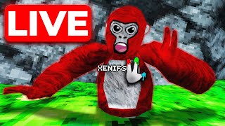 🔴 GORILLA TAG LIVE! 🔴 (ONLY UP & CODES)