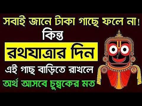 এই ১টি জিনিস রথযাত্রার দিনে বাড়িতে আনলে আপনি মুহূর্তে ধনী হতে পারবেন!