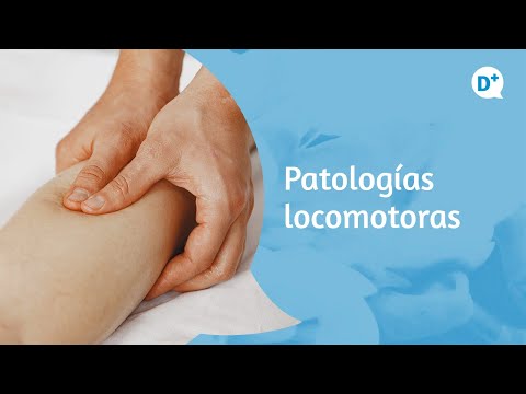 Aumento de las patologías del aparato locomotor | Dr. Félix Pastor – Especialista en Traumatología