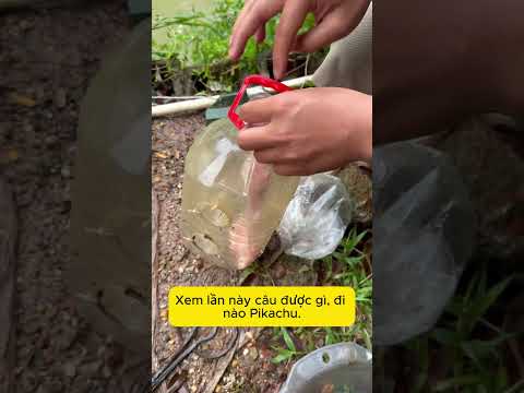 Không ngờ ao cá nhà mình lại có nhiều bất ngờ như vậy #dochoidocla