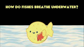 Breathing in Fishes | Life Processes in Animals | Grade 7 | Science | Khan Academy