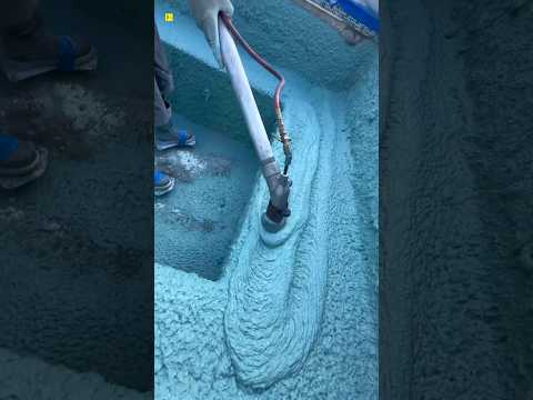 These People Are Cleaning The Swimming Pool 😨 #shorts #ytshorts