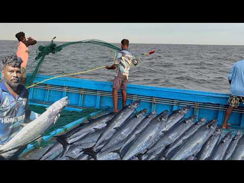 Amazing ! Third Day We Caught Lot of Seer Fish's in Deep Sea Fishing