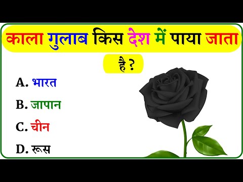 GK Question || GK In Hindi || GK Question and Answer || GK Quiz ||