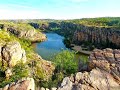 Biodiversity and Environmental Impact