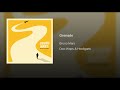 Understanding the Lyrics